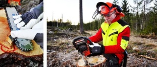 Sågar säkert efter stormen