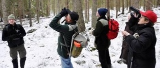 Skogsägare på fågelskådning