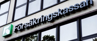 Försäkringskassan tappade bort hennes papper