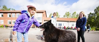 Pälsklädd vårtradition i Julita skola