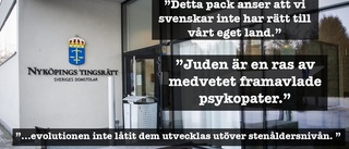 Nyköpingsbo döms efter grovt rasistiska blogginlägg