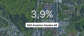 Inget företag i analysbranschen tjänade mer än dem i fjol