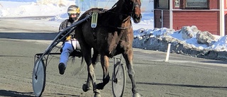 Segersugna kuskar vann under lunchen