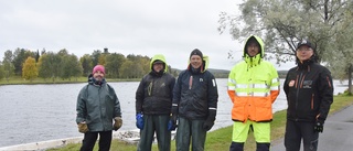 Ingen kraftig algblomning i Bodensjöarna – trots värmen