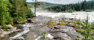 Storforsens virvlande skönhet 