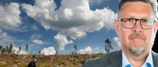 Det borde ligga i skogsnäringens eget intresse att göra upp med den här smutsiga byken