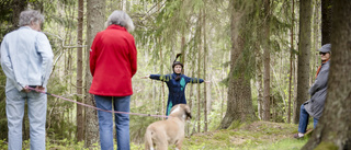 Minipublik bjöds på dans till skogens ljud: "Äntligen! Det har verkligen varit torka" 