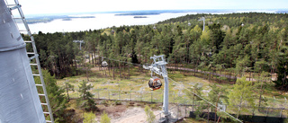 Undersökning om turismen visar: Kolmården kändast