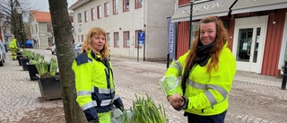 Dubbla vårtecken i Trosa kommun denna vecka