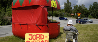 Curlingförälder – söker du sommarjobb åt dina barn?