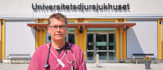 Veterinärbristen: "SLU välkomnar en expansion"