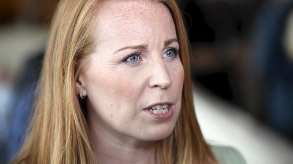 Centerpartiet vill skydda demokratiska och rättsliga institutioner. Arkivbild.