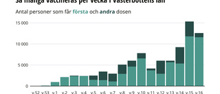 Tio procent av Skellefteborna är färdigvaccinerade – men inlandskommunerna har kommit längre