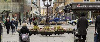 "Det ska fan vara företagare i centrala Uppsala!"