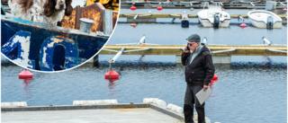 2,7 miljoner - Lövskärs hamn har fått en rejäl upprustning: "Nu har vi tömt börsen"