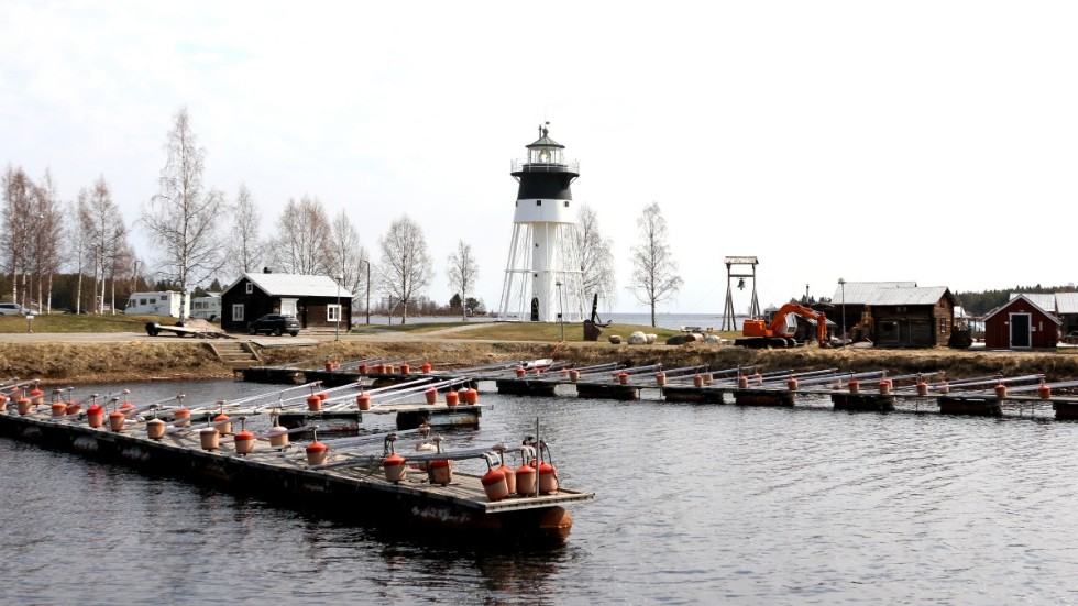 Jävre småbåtshamn var redan förra året i stort behov av muddring. "I sommar har det funkat för att det har varit mycket högvatten men en segelbåt går inte in i Jävre", säger Samuel Hellström, styrelseledamot i Jävre utveckling. (Arkivbild)