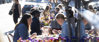 Tjänstesektorn ökar takten i sommar