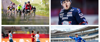 Quiz: Hur mycket kan du om lokal sport?