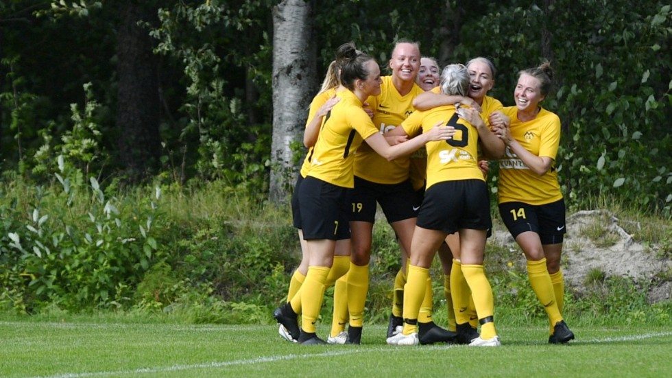Myckle fortsätter att stärka truppen inför kommande säsong i division I.