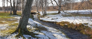 Läsarbilden: Porlande bäck        