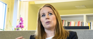 Lööf: SD en säkerhetsrisk