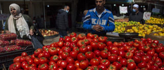 Färskvaruimport från Libanon stoppas