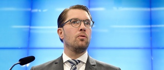 Jimmie Åkesson borde lära av partikamraterna i Skellefteå