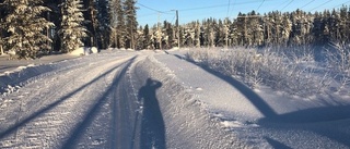 Apropå spåret på Grisberget...     