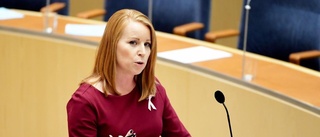 Väljarna litar mest på Annie Lööf