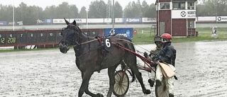 Skelleftetravet: Tuffa stoet Patricia Bishop tog steget in i miljonklubben