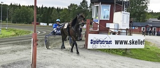 Skelleftetravet – kallaste banan i landet