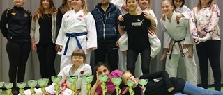 15 medaljer för Guldstaden shotokan i Piteå