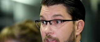 Åkesson: Nu är vi med och styr