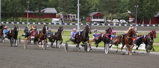 Roger Nilssons segermaskin imponerade på Skellefteåtravet