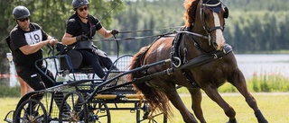 Burträskbon nöjd efter debuten - sjätte bästa svensk 