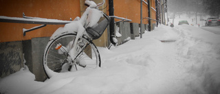 Mer snö och låga temperaturer att vänta i länet framöver