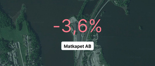 Matkapet AB: Förlust för första gången sedan starten