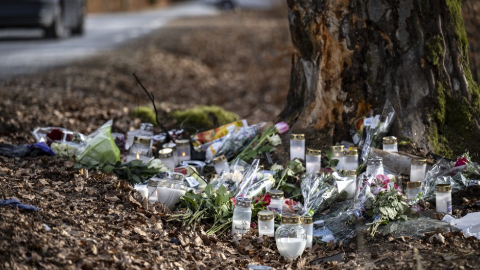 Mars tidigare i år: Blommor, ljus och minnessaker vid det träd i en kurva på väg 2004 mellan Djurröd och Östra Eljaröd väster om Kristianstad där en personbil med sju personer kraschade. Arkivbild.
