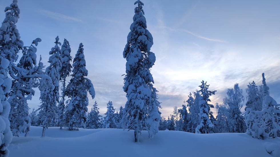 Ett vintrigt Boden, skriver Andreas Lennerö som skickat in bilden. Ja, det kan man verkligen säga. Tack för bilden, Andreas.