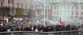 Demonstranter: Regeringen saknar ryggrad