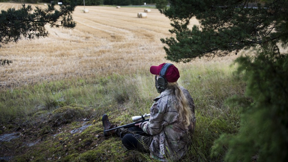 Många jägare kontaktar Jägarförbunden med frågor om svinpesten. Arkivbild.