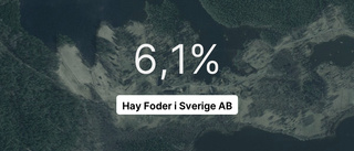 Hay Foder i Sverige AB: Nu är redovisningen klar - så ser siffrorna ut