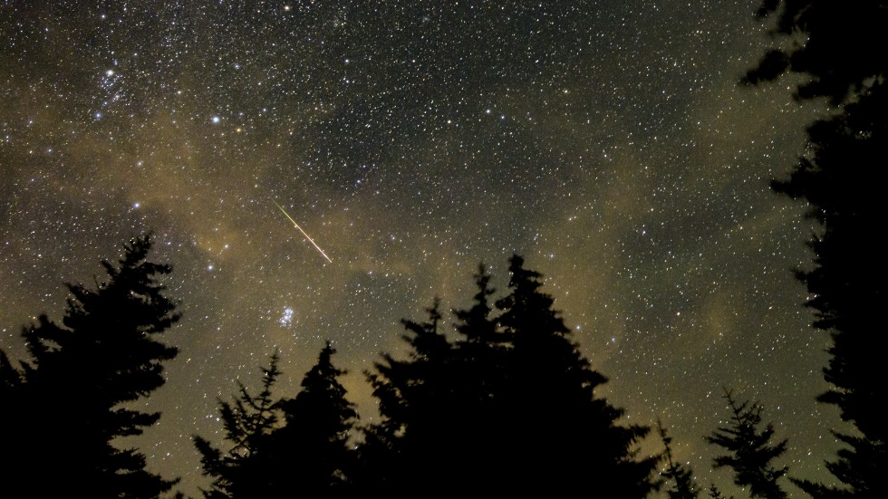 Meteorsvärmen Perseiderna fångad på bild i West Virginia, USA, i augusti 2021.
