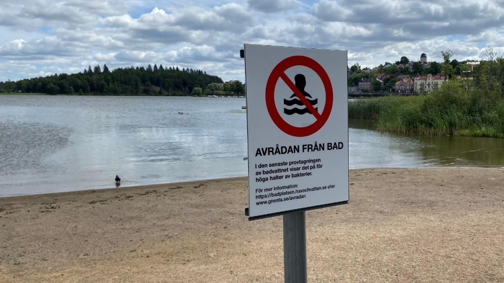 Från och till under hela sommaren har kommunen avrått från bad på grund av höga halter av tarmbakterien E. coli.