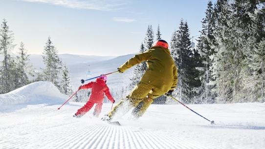 Boka din skidresa till Branäs eller Kungsberget i vinter