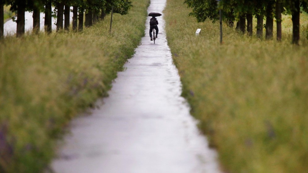 Det behövs inte jättebreda, asfalterade cykelbanor med mittlinjer för att ta sig fram på östgötaslätten.