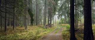 Naturvänner laddar för ny strid om Ringsö