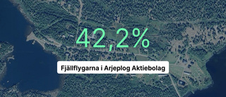 Fjällflygarna i Arjeplog – viktigaste siffrorna från 2023