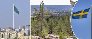 FÖRSLAGET: En väldigt hög flaggstång med stor flagga i Skellefteå