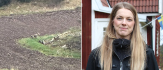 Cecilia tror att hon såg en varg: "Jag har lite ångest just nu"